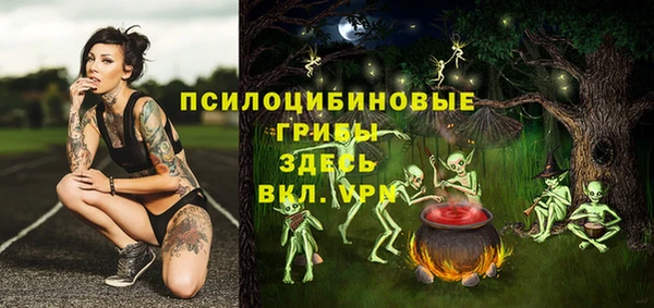 дурь Алексеевка