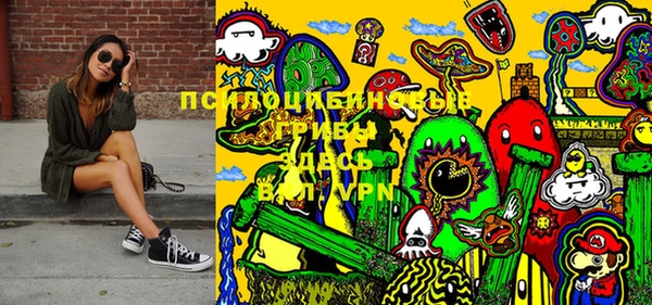 дурь Алексеевка